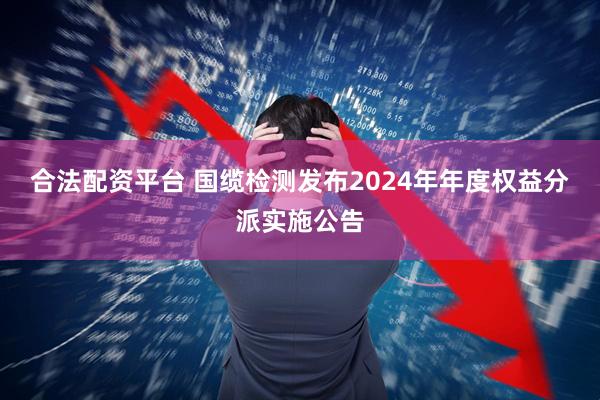 合法配资平台 国缆检测发布2024年年度权益分派实施公告
