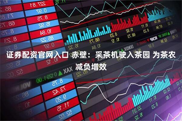 证券配资官网入口 赤壁：采茶机驶入茶园 为茶农减负增效
