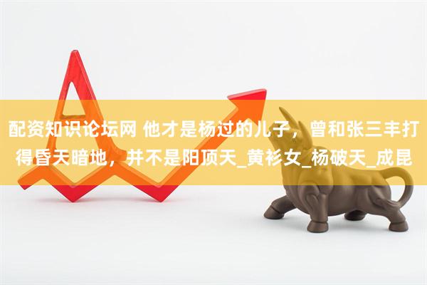 配资知识论坛网 他才是杨过的儿子，曾和张三丰打得昏天暗地，并不是阳顶天_黄衫女_杨破天_成昆