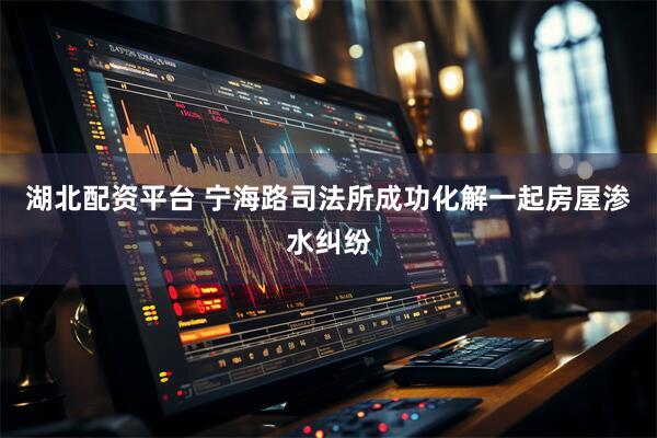 湖北配资平台 宁海路司法所成功化解一起房屋渗水纠纷